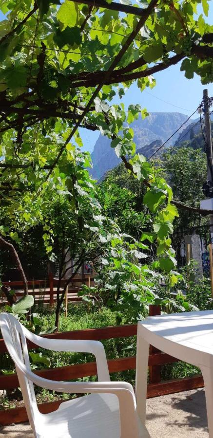 Apartments Skaljari Kotor Luaran gambar