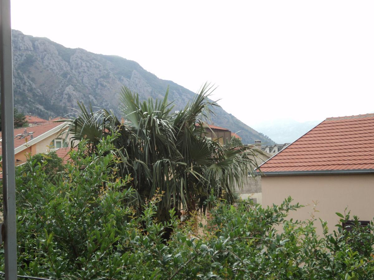 Apartments Skaljari Kotor Luaran gambar