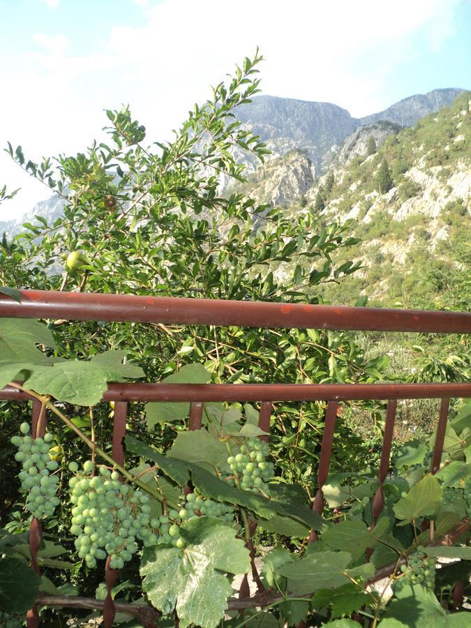 Apartments Skaljari Kotor Luaran gambar